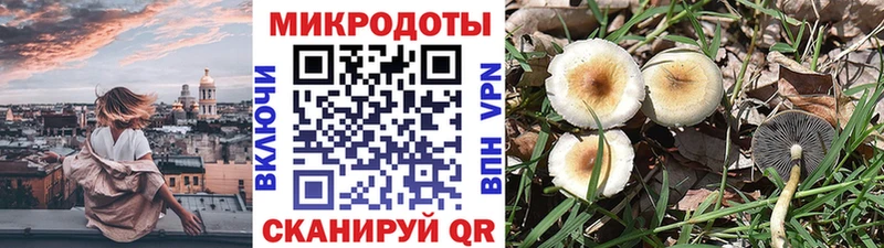 Купить закладки  Улан-Удэ  Галлюциногенные грибы мицелий 